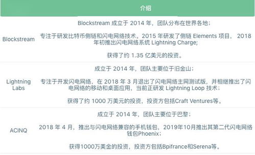 闪电网络的快与慢 速度与技术之辩